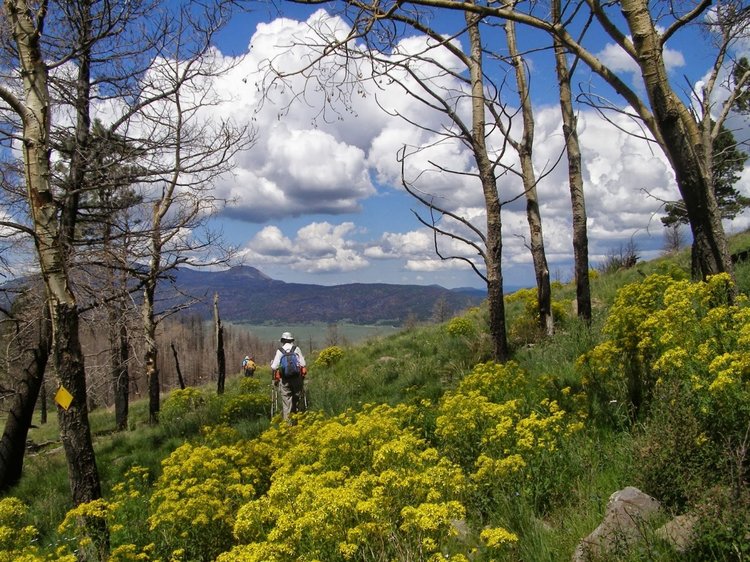 Colin Barker - Hiking with Santa Fe Chilli